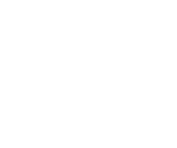 SDS Limited